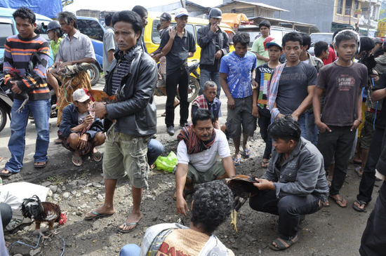 Natürlich gibts hier auch noch Hahnenkämpfe mit Klingen an den Krallen... Eigentlich illegal aber bald ist Wahl in Indonesien, deshalb drücken die Behörden ein Auge zu. Hier werden Wetten entgegengenommen, einen Kampf selbst wollten wir uns nicht ansehen...