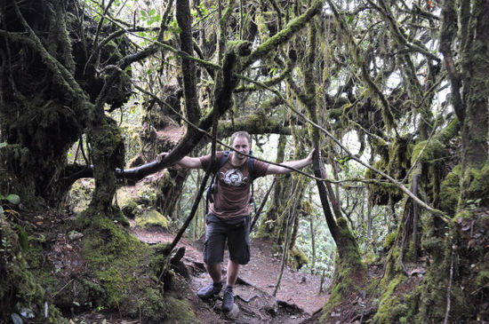Nächster Programmpunkt: Jungletrekking. Das hieß stiefeln über Stock und Stein - endlich wurden unsere Trekkingschuhe mal gefordert.