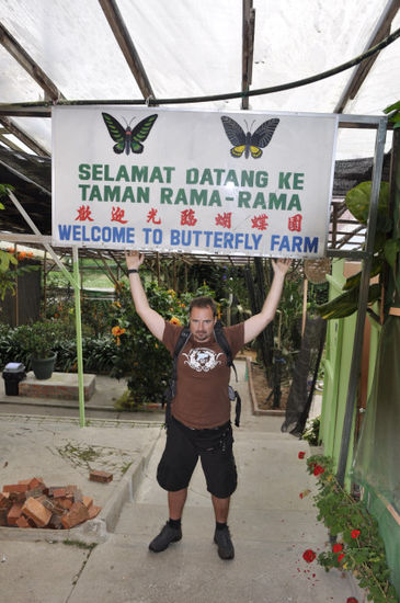 Dann weiter zur Butterfly Farm (bist du narrisch war das Schild schwer )