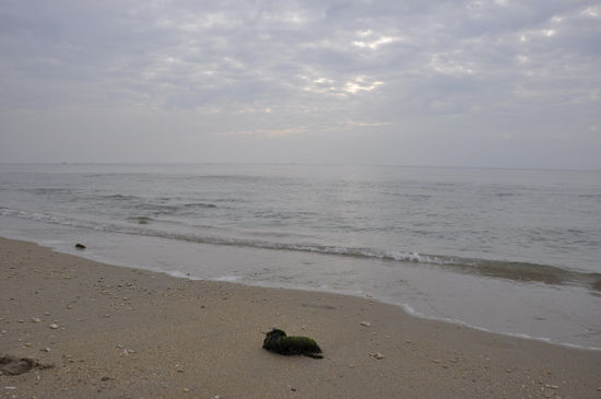 ...und das Meer...
