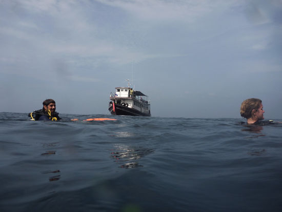 ...und dann waren wir auch schon drinnen im Wasser! Schön wars dort und wir haben wieder mal viel gesehen: