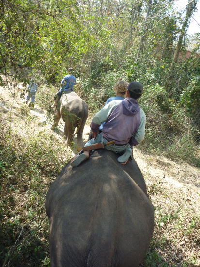 ...und los gings eine Runde durch den Dschungel. Zuerst noch mit dem Mahout am Rücken...