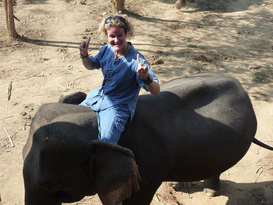 Nach ca. 2 Stunden waren wir wieder im Camp (unglaublich wie langsam sich so ein Elefant bewegt)...