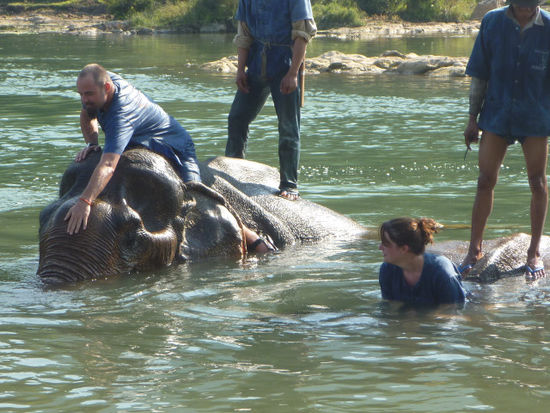 ...und zwar ganz runter bis man beinahe selbst schon schwimmen muss.