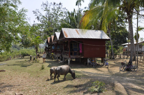 Die sechs Bungalows