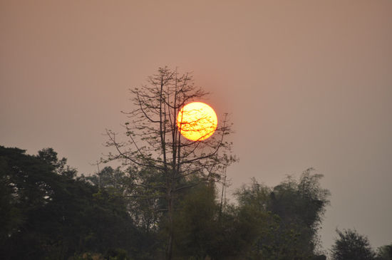 Irgendwie ist die Sonne hier größer als bei uns daheim .