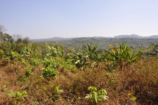 Die Ratanakiriprovinz