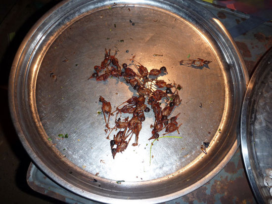 Frittierte Entenembryos. Die gingen weg wie die warmen Semmel. Lecker!!!
