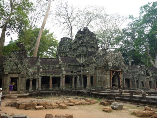 Und dann ein absolutes Highlight - der Ta Prohm Tempel. Hier wurde u.a. Tomb Raider gedreht...