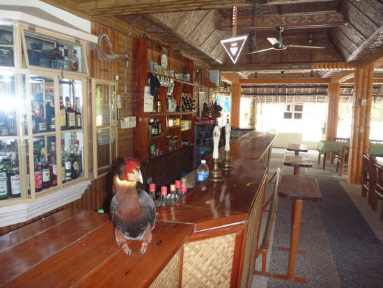 Pauli war auf alle Fälle der Chef an der Bar!