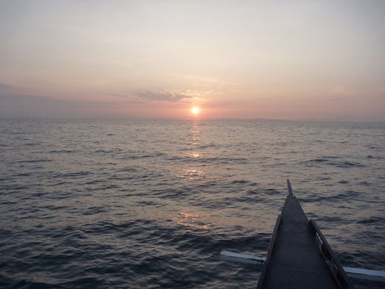 Dann gings aber auch schon mit dem Tauchen los. 1. Ziel: Hammerhaie! Daher aufstehen um 4 Uhr in der Früh und mit dem Sonnenaufgang raus aufs Meer!