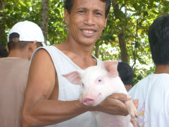 ...Schweine...