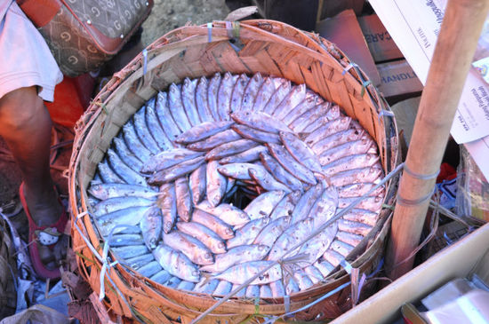 ... und allerlei Fischzeug.
