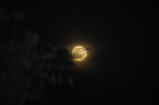Vollmond