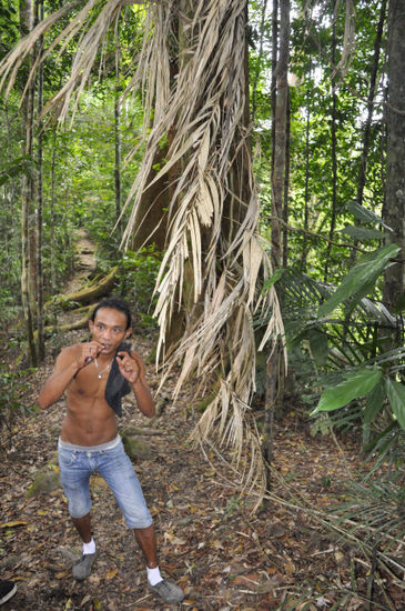 Rattan und unser Guide, dem die ganze Schinderei als echtes Dschungelkind natürlich nichts ausmachte