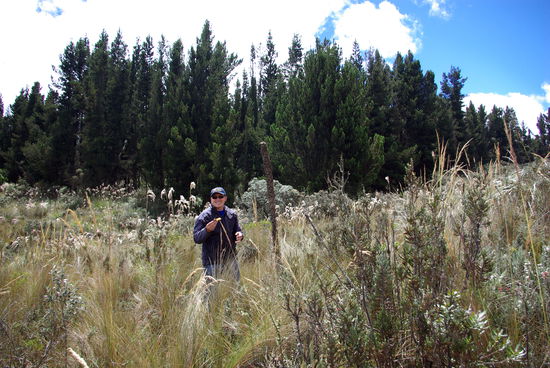 Fernando ...unser Reisefüher