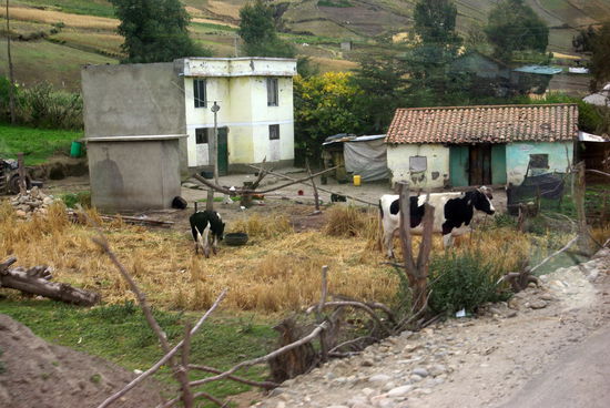 Häuser der Bauern...