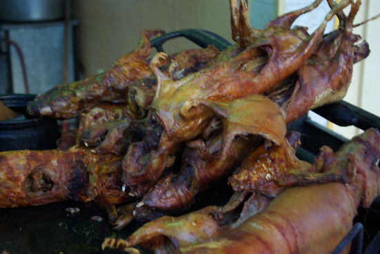 Gebratenen Guy`s......Meerschweinchen am Grill