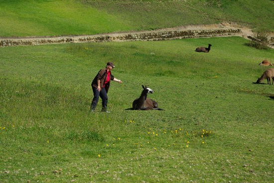 Na.....nimm die Blume