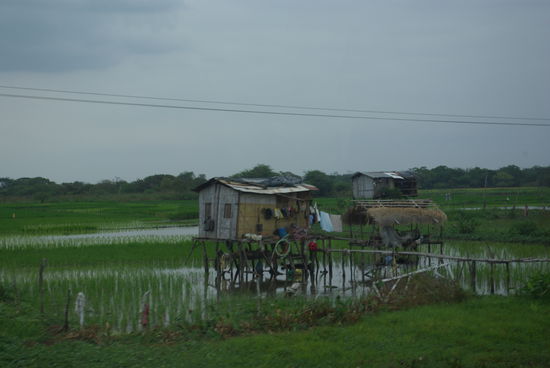 ...im Hinterland von Guayaquil