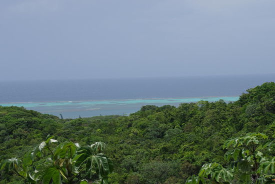 Das Riff vor Roatan....