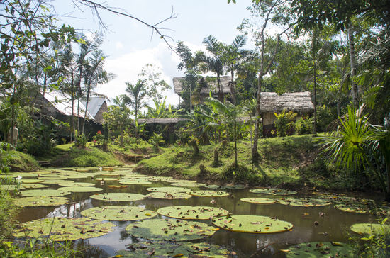 Victoria Regia