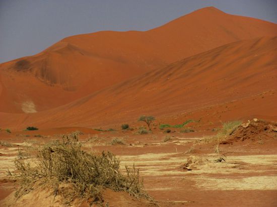 Diese Farbe und auch die Höhe ist unschlagbar - die Dünen der Namib-Wüste!