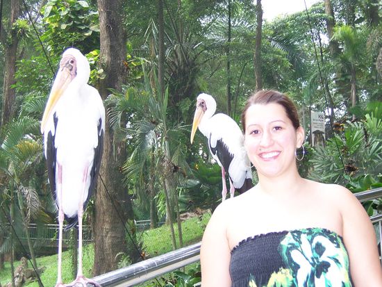 Im Vogelpark. Die sind echt und ich hatte ein bisschen Respekt mich so dicht an die beiden ranzuschleichen.