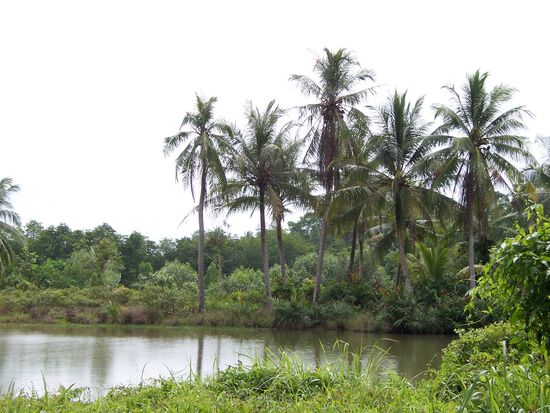 Palau Ubin ein am Rande von Singapur... und trotzdem überall Touristen Nap.... leider...