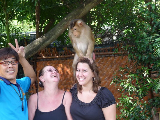 Ich glaub mich laust der Aff 