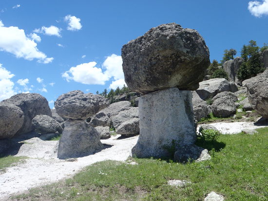 Das Tal der Pilze...