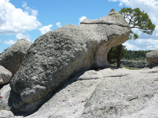 Das Tal der Frösche...