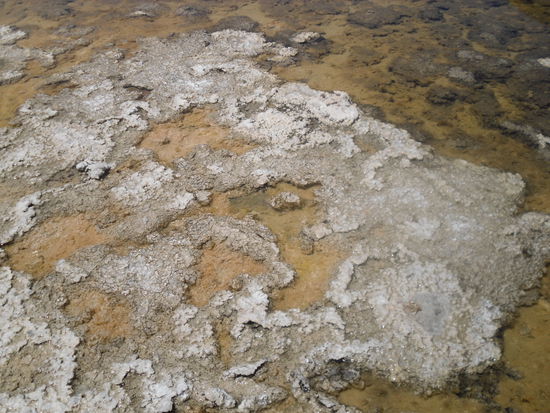 Salzblumen im Badwater Basin