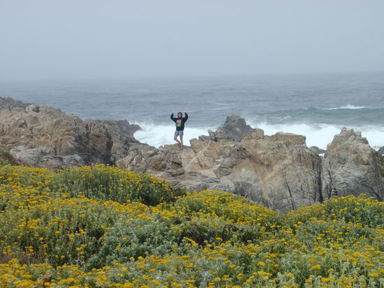 Die vielen gelben Blumen standen überall...sehr schöner Kontrast zu dem dunklen Meer und den schroffen Felsen!