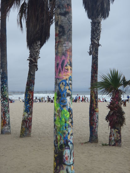 Sogar die Palmen sind bunt in Venice!