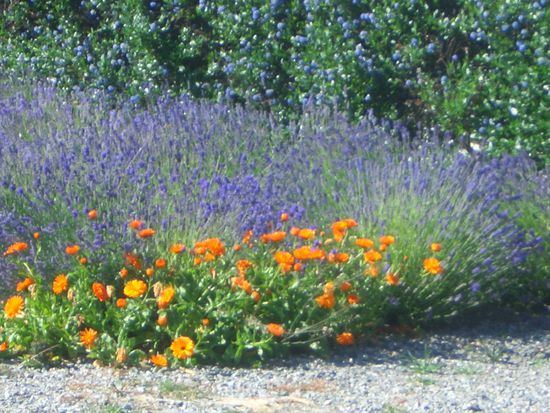 Welch Farbkomposition!