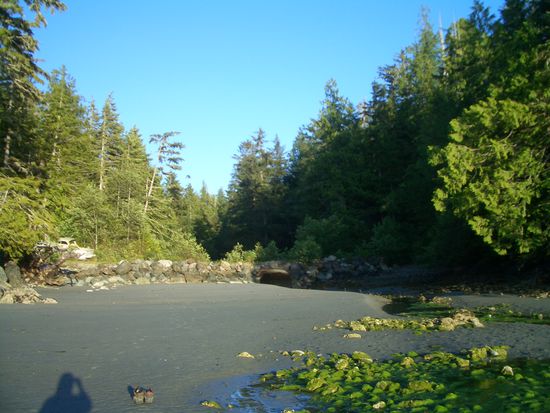 Heimatstrand mit dem Boot im Hintergrund