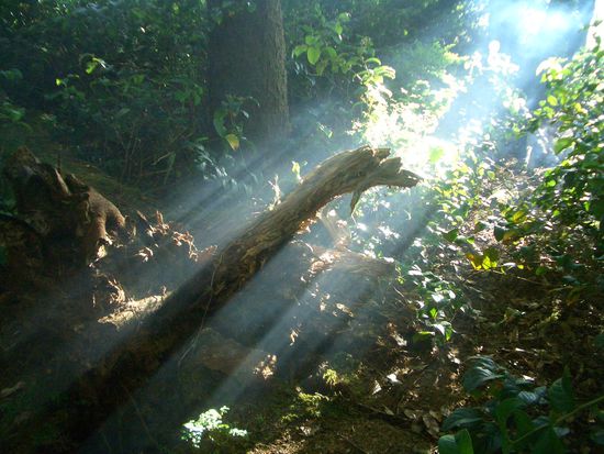 Rauch laesst alles gleich noch magischer erscheinen