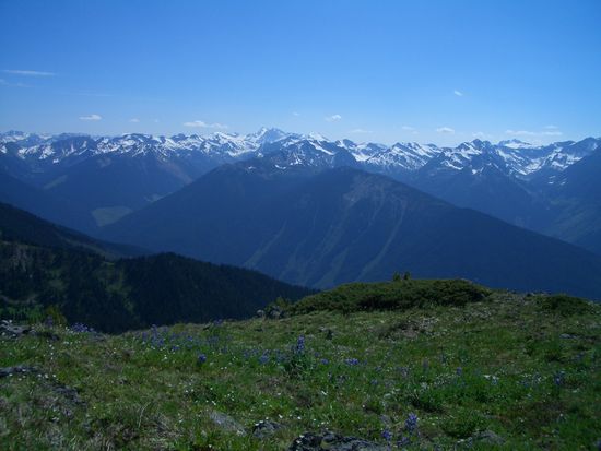 So weit das Auge reicht