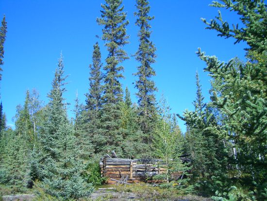 old prospector's cabin