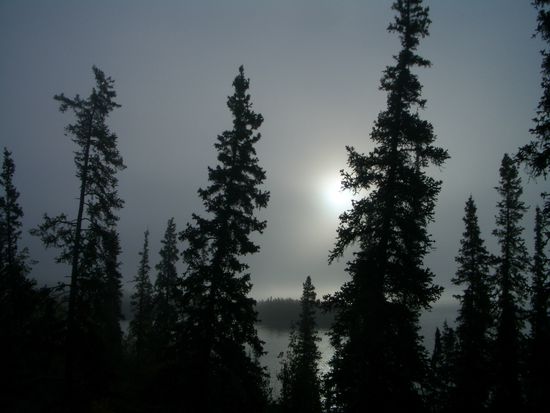 Sonnenaufgang vom Nebel verborgen