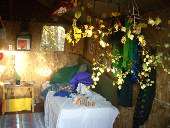 Ich war schon unterwegs und fand diesen schoenen Birkenzweig am anderen Ende des Sees