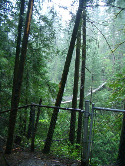 Haengebruecke ueber den Lynn Canyon