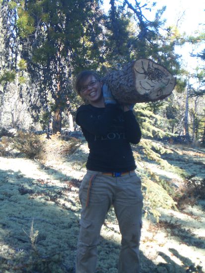 und Stapeln des Holzes.
Gut das nicht jeder Baumstamm diesen Umfang hatte