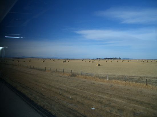 ganz klein sie sind sie zu erkennen