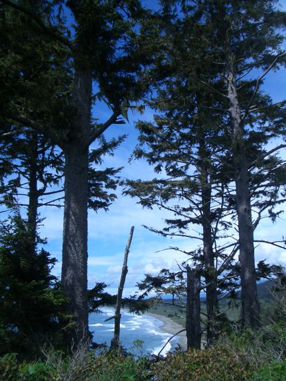 Endert`s Beach, suedlich von Crescent City