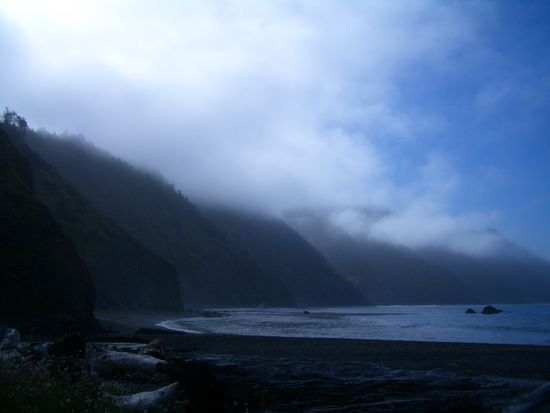 und der Blick nach vorne