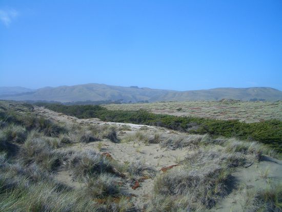 Bodega Bay. Hier drehte Hitchcock die Voegel