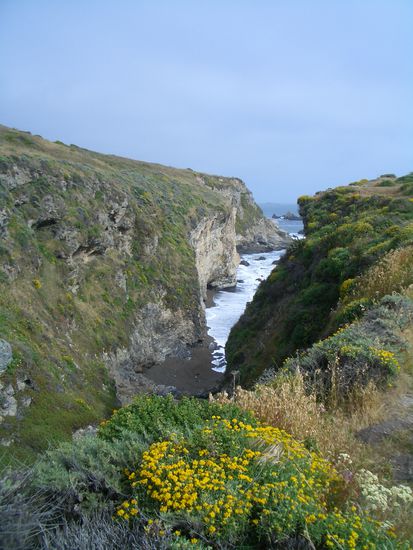 Point Reyes Seashore