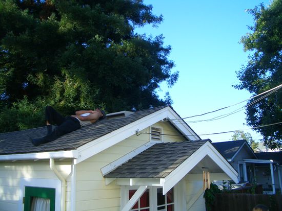 Morgan, einer meiner Mitbewohner